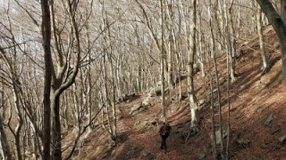 Le Perthus - Coll de l'Ullat