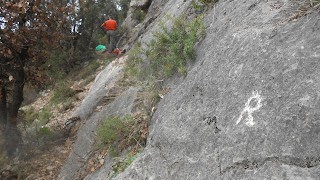 La Barrufets a la Paret de la Fontfreda.