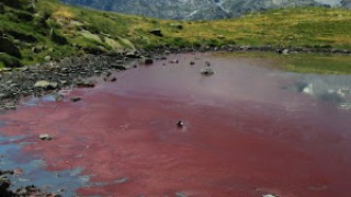 Els meus tres mils dels pirineus