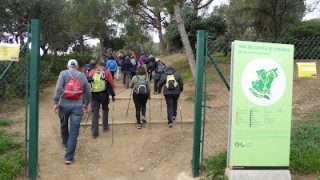 De marxa nòrdica per Collserola