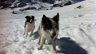 Pic de l´ Estany Mort (2746 m.) 24-01-16