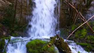 Les imponents fonts de les feus