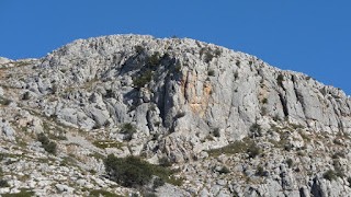 Ressenyes de Can Saliner,Ullà.