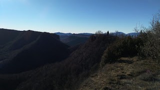 Santuari de cabrera (cantonigròs)