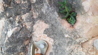 **** Estel de l’Alba (180m, 6a+), Paret dels Sostres, Montroig