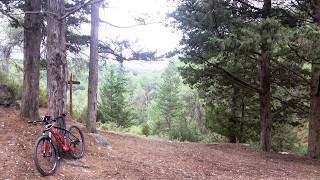 Moles - font de la duenya - ferrero 9/11/14