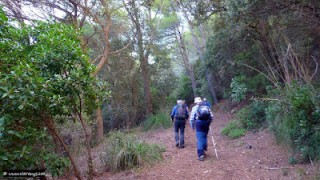 Mola de Son Ferrandell pels