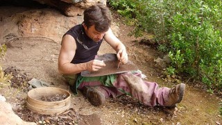 Sis noves espècies de Diplurs de Mèxic