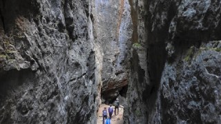 Avencs de la Febró. Muntanyes de Prades