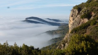 Mont-roig. díedre blanqueta integral