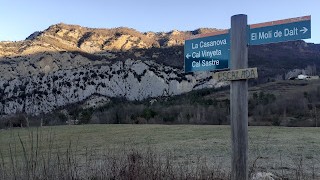 Tarannà Domèstic a la Paret del Devessó