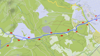 Primera setmana de recuperació després de l'operació.