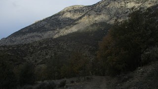 Falsa Modèstia a Narieda Sud.