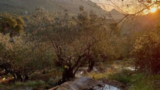 Volem ser per caminar, i caminar per poder ser