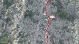Roca narieda, vies el nostre amic + de la brownie