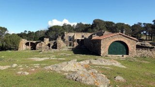 Creu de Palomeres – Serra de Rodes (694 m)