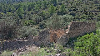 Molt bona 1a edició del Badall Trail