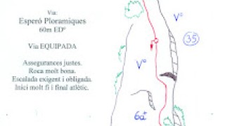 15 anys de... l'Esperó Ploramiques al Sector de l'Ànima.