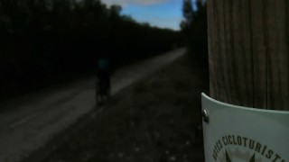 Ruta Cicloturística de l'Oli amb gravel