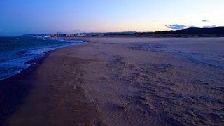 Sobre el projecte de regeneració de la platja de l'Auir de Gandia