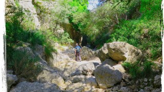Camí des Torrent des Llorers