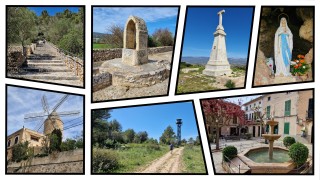 Ses Alqueries y Puig de Son Seguí