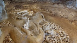 Els nous jaciments paleontològics al Massís del Garraf