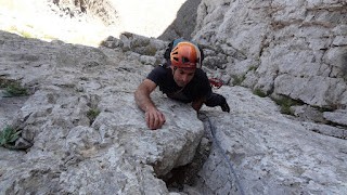 A la Cerdà-Pokorski de la Roca de l'Ordiguer (Cadí)