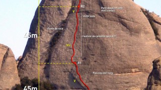 The wall, a l'Elefant, i Cerdà-Pokorski a la Prenyada