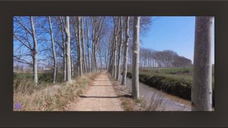 Lleida-Sèquia Quarta del Canal d’Urgell-Les Borges Blanques-Canal d’Urgell-Camí del Riu