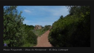 A peu per Olesa de Montserrat,Coll d’Oriol,Pla del Fideuer,Coll de Bram,St Salvador de les Espases, Torrent de l’Afrau,Coll d’Espases,Creu de Beca, Olesa de Montserrat.