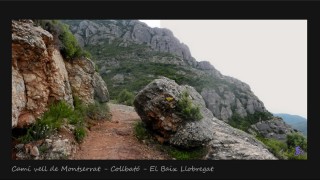 A peu de Collbató a Montserrat, per les Bateries o Camí Vell i tornar a Collbató, pel camí de les Feixades