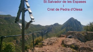  SANT SALVADOR de les ESPASES, - CRIST de PEDRA d'OLESA