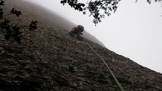 Retorn a l'elefant: The wall