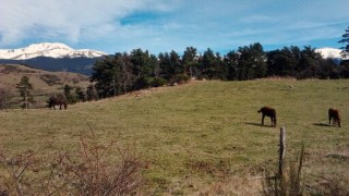 Ribes-El Baell-Refugi Prats-Coll de l'Erola- Roca Augda - Roques Blanques- Ribes