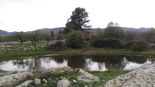 Foto de la setmana, la bassa de benirrama