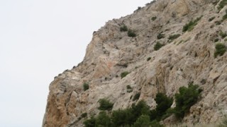 Garraf cantera sud esquerra. integral espigolo