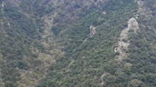 Culebra bastarda + diedre sud-picons del pla de l'aubero-torrent del bosc