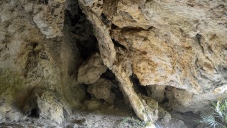 Cova Punta de la Barqueta. Montsià