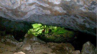 Fauna cavernícola de la Cueva de Urdoleta.