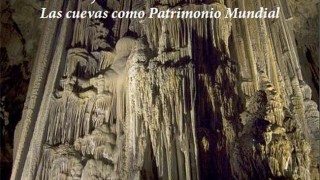 Inventari faunístic de la Cueva del Viento, Tenerife