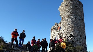 Excursió matinal Picamoixons-Torre del Petrol-Toll de Goda-Castell Dalmau - La Riba. 14-gener-2017