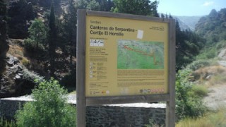 Setmana Boja 2016 II, Barranco del Rinconcillo, Güejar Sierra (Granada)