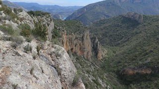 Totxa Petra i Malalts de Roca al Barranc Fondo. Sant Llorenç de Montgai.