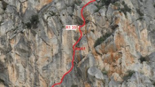 Via correveidile