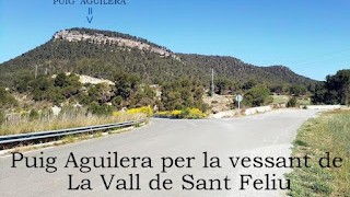 Arremesa al Puig Aguilera per la vessant de la Vall de Sant Feliu