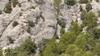 Montserrat - Clot de la Mònica - Serrat Inferior d'en Muntaner - Via Traca i Mocador 02/03/2023