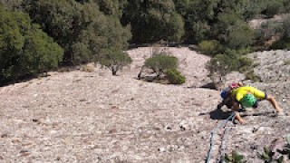 Cerdà Pokorski a la Prenyada.