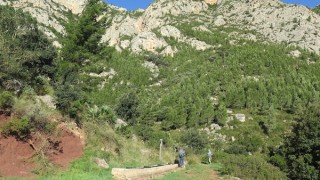 Via Fava al rei a la Paret de Les Picossies ( Serra de Cardó) 04-04-2023.