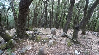 Coll d'Estenalles, avenc del Montcau, Montcau, turó de la Carena del Pagès, Casetes del Bufí, els Òbits, el Bolet i el turó dels Òbits i Morral Gran